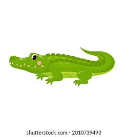 Vector illustration of cute alligator isolated crocodile in cartoon style on white background. Use for kids app, game, book, clothing print T-shirt print, baby shower.
