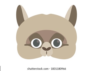 Vector illustration of cute Alpaca face mask.