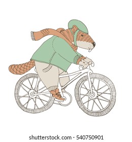 Vector illustration. Cute animal like humans. Humanized animal. Beaver in coat and scarf riding a bicycle