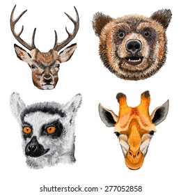 Vector illustration of cute animal set including deer, bear, giraffe and lemur.