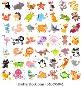 Vector illustration of cute animals and birds set: rhinoceros, turkey, wolf, pelican, fox, whale, unicorn, bull, sea horse, lion, penguin, raccoon, cat, panther, jellyfish, crocodile, duck, panda, owl