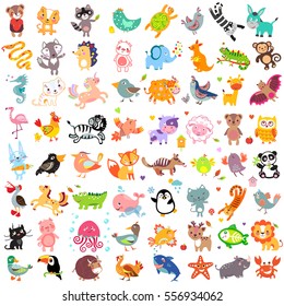 Vector illustration of cute animals and birds set: toucan, rhinoceros, turkey, wolf, pelican, fox, hedgehog, whale, unicorn, bull, sea horse, lion, penguin, raccoon, cat