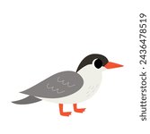 Vector illustration of cute antarctic tern bird isolated on white background.