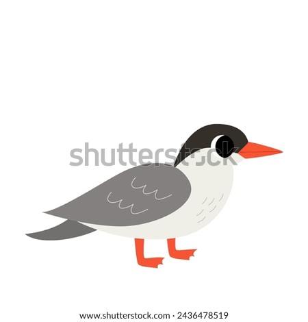 Vector illustration of cute antarctic tern bird isolated on white background.