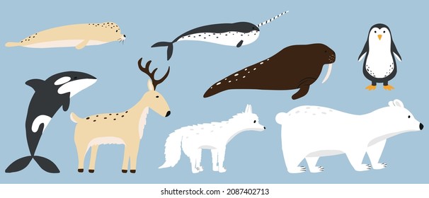 Ilustración vectorial de los lindos animales árticos. Conjunto vectorial de animales árticos. Oso polar, reno, morsa, zorro ártico, foca.