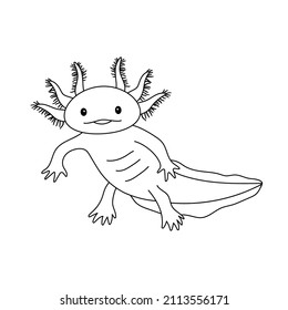 Ilustración vectorial del salamandra axolotl lindo aislado sobre fondo blanco. Dibujo en estilo de contorno para libro de coloreado