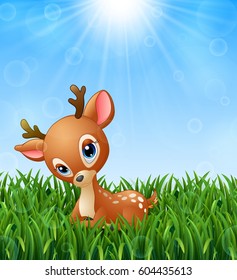 Vector illustration of Cute baby deer cartoon in the grass on a background of bright sunshine