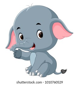 vector illustration of cute baby elephant