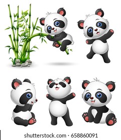 Vector illustration of Cute baby pandas collection