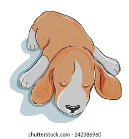 vector illustration of cute beagle   cartoon drawing style