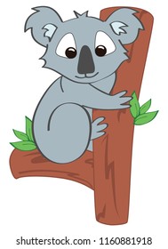 Vector illustration, cute bear koala, on a white background.