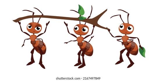 Vector illustration of cute and beautiful ants on white background. Charming characters in different poses holding a stick chief, assistant and corrector in cartoon style.