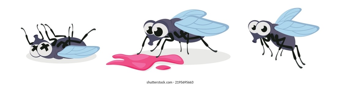 Ilustración vectorial de la linda y hermosa mosca sobre fondo blanco. Personajes encantadores en diferentes poses murieron, encontraron una vida roja, moscas al estilo de las caricaturas.
