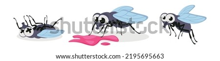 Vector illustration of cute and beautiful fly on white background. Charming characters in different poses died, found a red life, flies in cartoon style.