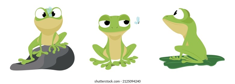 Vector illustration cute   beautiful frogs white background  Charming character i sitting stone   butterfly the head   sitting water lily in cartoon style 