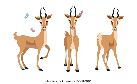 Vector illustration of cute and beautiful gazelles on white background. Charming characters in different poses with side view, front view and looks back, around the butterfly in cartoon style.