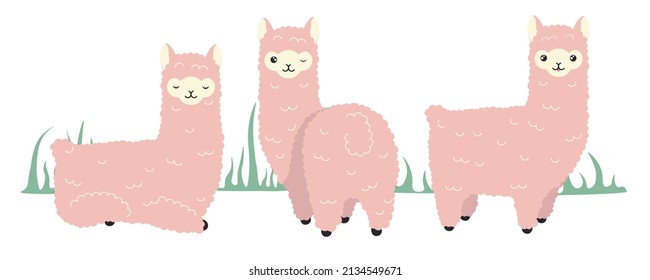 Vector illustration cute and beautiful lama on white background. Charming character in different poses with sleeps, looks back and smiled sweetly in cartoon style.