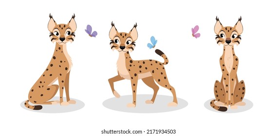 Vector illustration of cute and beautiful lynx on white background. Charming characters in different poses sit sideways, walking in cartoon style.