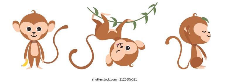 Vector illustration cute and beautiful monkeys on white background. Charming character in different poses with a banana, on a liana and sitting with a leaf on the head in cartoon style.