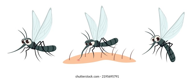 Ilustración vectorial de un mosquito lindo y hermoso sobre fondo blanco. Los personajes encantadores en diferentes poses se mantienen tranquilos, se sientan a beber sangre en el cuerpo, vuelan al estilo de las caricaturas.