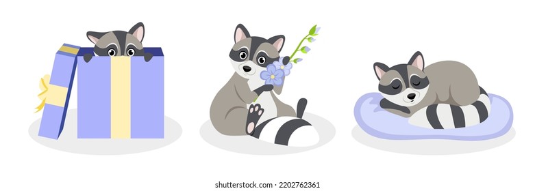 Vector illustration of a cute and beautiful raccoon on white background. Charming characters in different poses hide in gift boxes, sit with flowers, sleep on pillows in cartoon style.