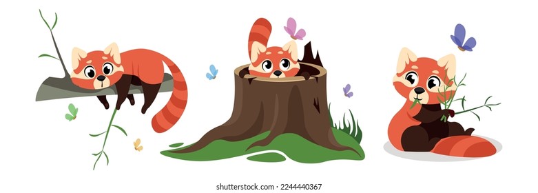 Vector illustration of cute and beautiful red panda in cartoon style. Charming characters are a red panda lying on a branch, looking at a butterfly from the hollow of a stump, eating bamboo.