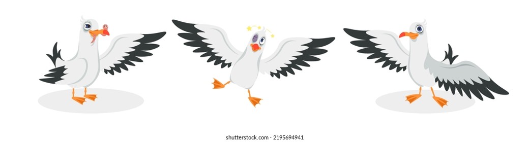 Vector illustration of cute and beautiful seagulls on white background. Charming characters in different poses found a worm, fell with a black eye after a blow, said hello in cartoon style.