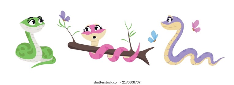 Vector illustration cute   beautiful snakes white background  Charming characters in different poses twisted   lie down  wrapped around branch  crawling in cartoon style 