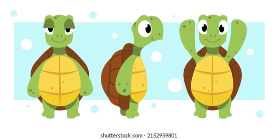 Vector illustration of cute and beautiful turtles on blue background. Charming character in different poses with front view, side and stands on its hind legs and waves its flippers in cartoon style.