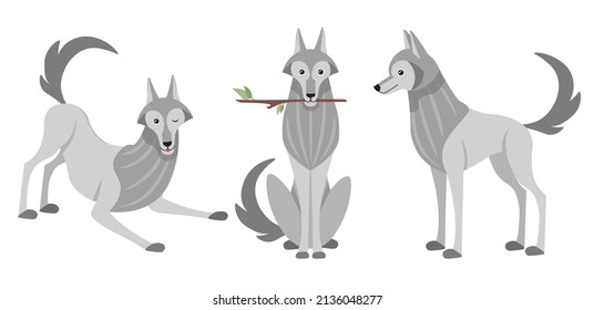 Vector illustration cute and beautiful wolf on white background. Charming character in different poses with plays, sits with a stick in the mouth and stands in cartoon style.