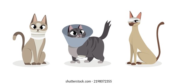 Vector illustration of cute and beautiful wounded cats on white background. Charming characters in different poses with rewound neck, paw and head in cartoon style.