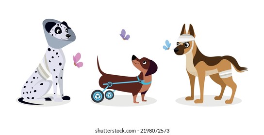 Imagen vectorial de perros lindos y hermosos heridos sobre fondo blanco. Personajes encantadores en diferentes poses hirieron a un perro dálmata y pastor sin piernas en una silla de ruedas al estilo de dibujos animados.