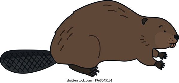 Vector illustration of a cute beaver (seen from the side)