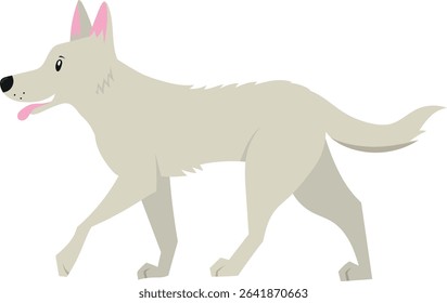 Vector illustration of cute big dog in flat style. Isolated on white. Swiss shephard. Illustration in childish style.