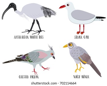 Vector illustration of cute bird cartoons - Australian white ibis, silver gull, crested pigeon, noisy miner