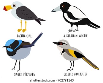 Dibujo vectorial de dibujos animados de aves lindas - Gaviota del Pacífico, urraca australiana, soberbia guirnalda, cresta de miel