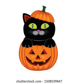Vector illustration of a cute black cat coming out of the Halloween pumpkin