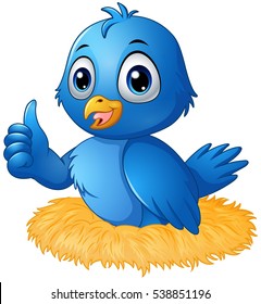 Vector illustration of Cute blue bird cartoon giving a thumbs up in the nest