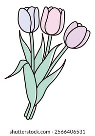 Vector illustration of a cute bouquet of tulips