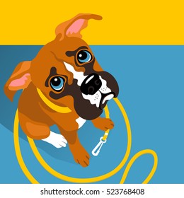 vector illustration of cute Boxer puppy with leash with space for text. For posters, cards, banners, t-shirts