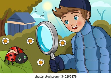 A vector illustration of cute boy looking at ladybug on a leaf using a magnifying glass