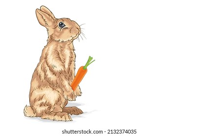 Vector illustration of cute brown rabbit standing and holding fresh baby carrot,cheerful fluffy bunny with ripe easter carrots,isolated on white background,Beautiful,Cute animal art,design concept.