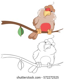 Vector Illustration of Cute Bullfinch. Cartoon Character  Coloring Book