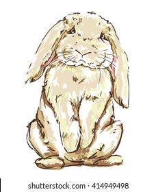 vector illustration of a cute bunny, rabbit illustration