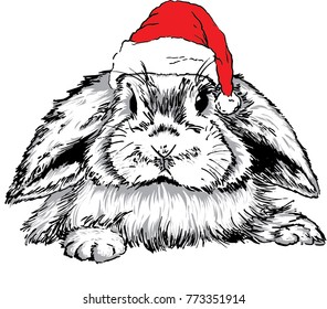 Vector illustration of cute bunny in  santa claus  hat