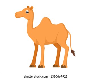 Vector illustration of cute camel cartoon on white background