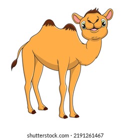 vector illustration of cute camel cartoon