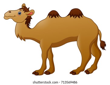 Vector illustration of Cute camel cartoon