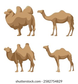 Vector illustration of a cute camel in flat style art