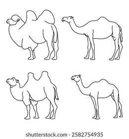 Vector illustration of a cute camel in line art style